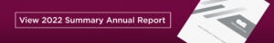 2022 summary annual report
